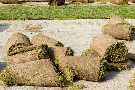 Several turf grass rollsの写真素材