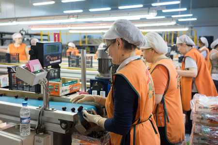 NAOUSSA, GREECE- JULY 10, 2014: Women working at the factory of Agricultural Cooperative of Naoussa, Greece. The famous "Naoussa Peaches", are the areaâs main product. Fruit production.のeditorial素材