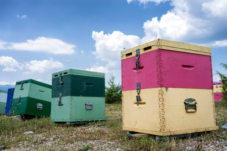 Beehives at green field against cloudy sky. の写真素材