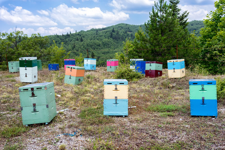 Beehives at green field against cloudy sky. の写真素材