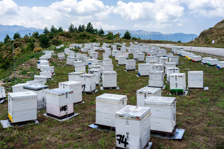 Beehives at green field against cloudy sky. 
