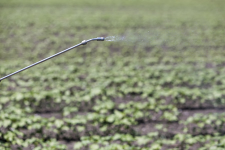 Close Up of a Crop Sprayer, nozzle spraying fertilizer on cropの写真素材