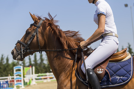 Close up of the horse during competition matches riding round obstaclesのeditorial素材