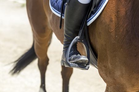 Close up of the stirrup on the horse during competition matches riding round obstaclesのeditorial素材