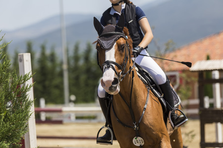 Thessloniki, Greece, June 14, 2015: Close up of the horse during competition matches riding round obstaclesのeditorial素材