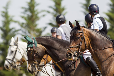 Thessloniki, Greece, June 14, 2015: Horses getting ready in line for the competition matches riding round obstaclesのeditorial素材