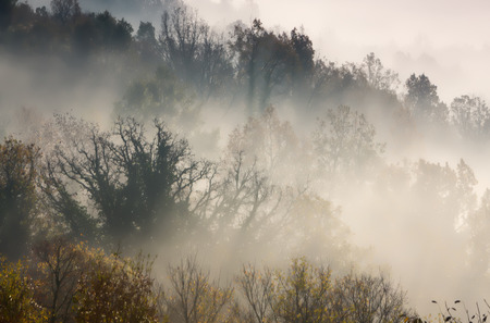 autumn scenery up early with fog in Zagorochoria, Epirus Greece (soft focus). Cross processed image for vintage lookの写真素材