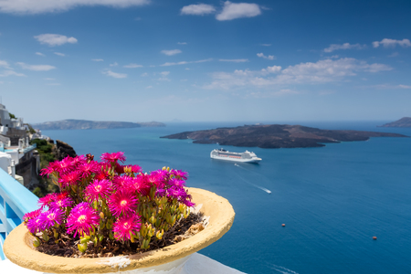 Flower pot in front of the ocean in Santoriniの写真素材