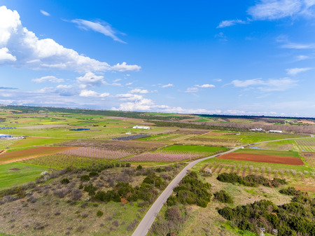 Aerial view over agricultural fields with blooming trees, Yannitsa in northern Greece. Aerial shot with droneの写真素材