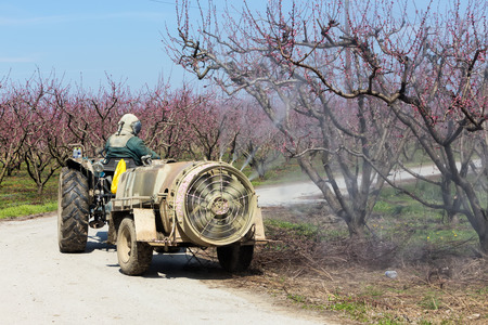 Veria, Greece - March 19, 2016: Farmer with tractor using a air blast sprayer with a chemical insecticide or fungicide in the orchard of peach trees in northern Greeceのeditorial素材