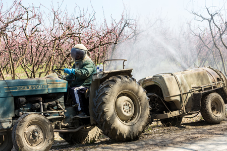 Veria, Greece - March 19, 2016: Farmer with tractor using a air blast sprayer with a chemical insecticide or fungicide in the orchard of peach trees in northern Greeceのeditorial素材