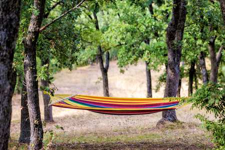 A most beautiful place in nature, hammock in green forest, outdoor adventure. Selective focus toned image with shallow depth of fieldの写真素材