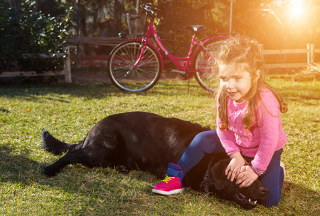 Young girl with dog playing in gardenの写真素材