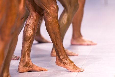 Thessaloniki, Greece - May 20, 2017: Male bodybuilders flex their muscles and shows their best side pose on stage at the 2017 WFF Mediterranean Games Bodybuilding and Fitnessのeditorial素材