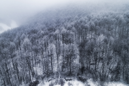 Aerial view of forest in the winter during the snowfall in the area of Naoussa in northern Greece. Captured from above with a drone.の写真素材