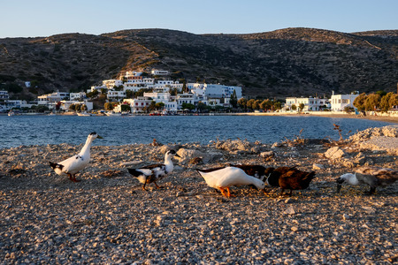 Amorgos, Greece - July 31, 2018: view from a part of Katapola in Amorgos island, Greeceのeditorial素材
