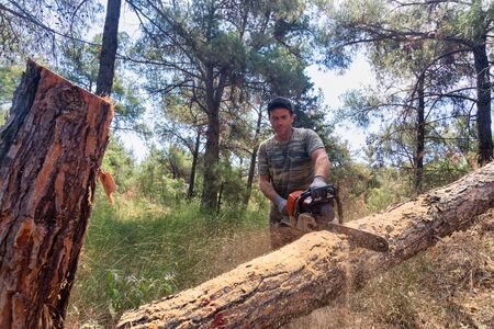 Thessaloniki, Greece - June 26, 2019: Lumberjack work wirh chainsaw in the forest with coniferous...