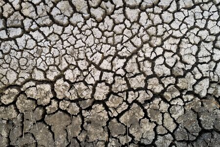 Dry lake bed with natural texture of cracked clay in perspective floor. Death Valley field ....