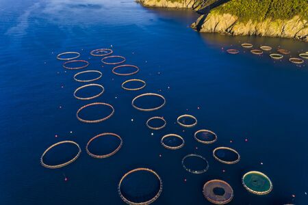 Fish farm with floating cages in Chalkidiki, Greece. Aerial view