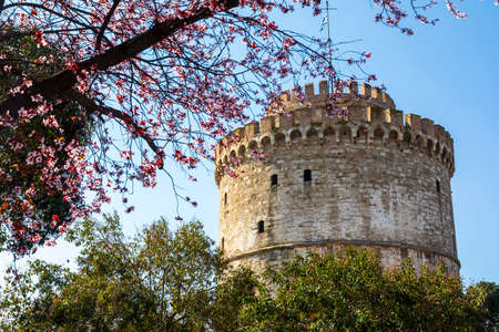 White Tower of Thessaloniki in Greece, cherry blossom