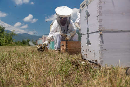 Florina, Greece - July 10, 2020: Beekeepers working to collect honey in an area of Florina in northern Greece. Organic beekeepingのeditorial素材