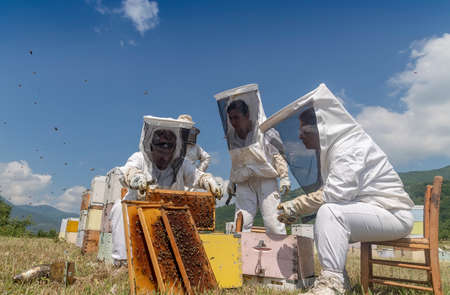 Florina, Greece - July 10, 2020: Beekeepers working to collect honey in an area of Florina in northern Greece. Organic beekeepingのeditorial素材