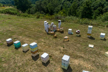 Beekeepers working to collect honey in an area of Florina in northern Greece. Organic beekeeping