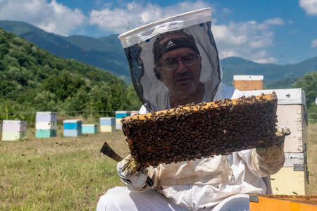 Florina, Greece - July 10, 2020: Beekeepers working to collect honey in an area of Florina in northern Greece. Organic beekeepingのeditorial素材