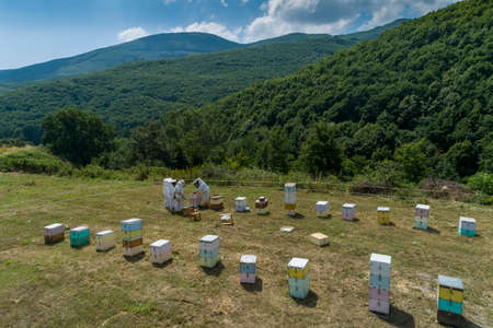 Beekeepers working to collect honey in an area of Florina in northern Greece. Organic beekeeping