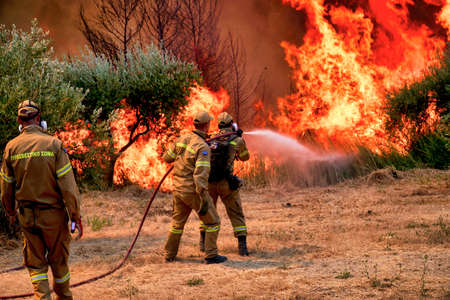 forest fires at sunrise near the area Ancient Olympia, Peloponnese, Greece on August 5, 2021のeditorial素材