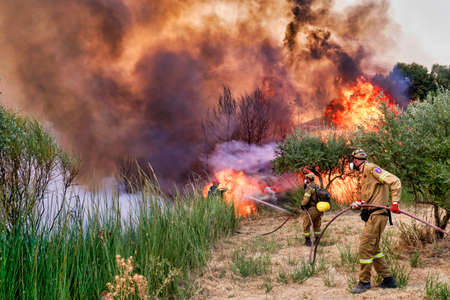 forest fires at sunrise near the area Ancient Olympia, Peloponnese, Greece on August 5, 2021のeditorial素材