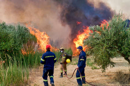 forest fires at sunrise near the area Ancient Olympia, Peloponnese, Greece on August 5, 2021