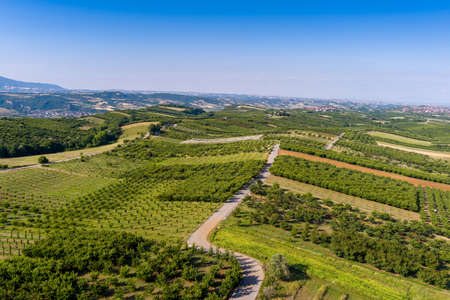 Aerial view over agricultural fields with cherry trees, Pieria in northern Greece. Aerial shot with droneの写真素材