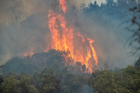 Forest fires in the prefecture of Evros in northern Greece in the biggest fire ever in Europe on August 23,  2023の写真素材