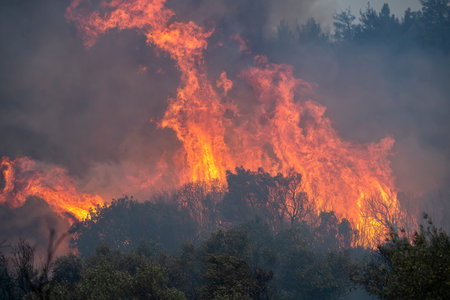 Forest fires in the prefecture of Evros in northern Greece in the biggest fire ever in Europe on...