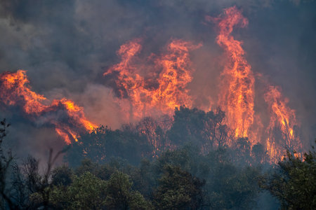 Forest fires in the prefecture of Evros in northern Greece in the biggest fire ever in Europe on August 23,  2023の写真素材