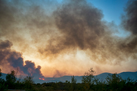 Forest fires in the prefecture of Evros in northern Greece in the biggest fire ever in Europe on August 23,  2023の写真素材