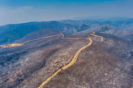 Aerial view shows a burnt area after a fire in Evros prefecture in northern Greece in the biggest fire ever in Europe on August 23, 2023. Catastrophic effects, environmental disasterの写真素材