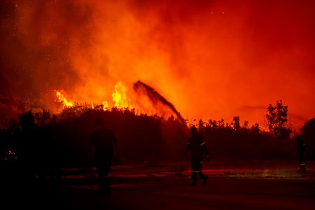 Forest fires in the prefecture of Evros in northern Greece in the biggest fire ever in Europe on August 23,  2023の写真素材