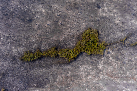 Aerial view shows a burnt area after a fire in Evros prefecture in northern Greece in the biggest fire ever in Europe on August 23, 2023. Catastrophic effects, environmental disasterの写真素材