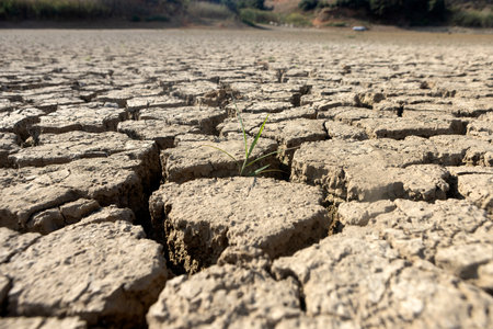 The lake at Kato Scholari, a little outside Thessaloniki, Greece, turned into a desert. The once full lake which was a habitat with many species of flora and fauna, now resembles part of a desert areaの写真素材