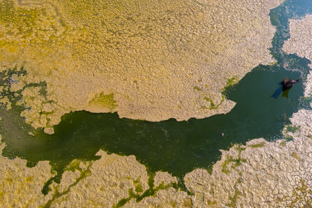 The lake at Kato Scholari, a little outside Thessaloniki, Greece, turned into a desert. The once full lake which was a habitat with many species of flora and fauna, now resembles part of a desert areaの写真素材