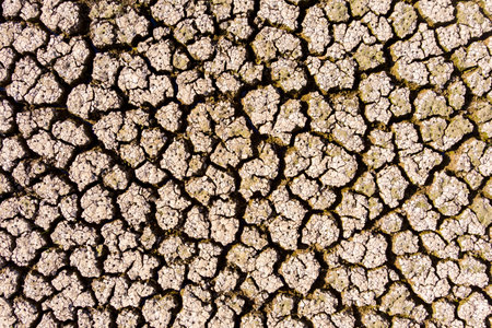 The lake at Kato Scholari, a little outside Thessaloniki, Greece, turned into a desert. The once full lake which was a habitat with many species of flora and fauna, now resembles part of a desert areaの写真素材