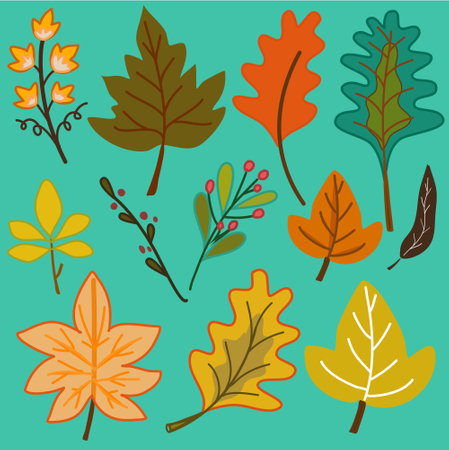 autumn leaves pattern with many different leaf on green background hand drawn vectorのイラスト素材