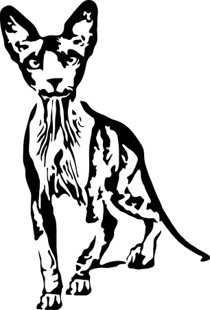 illustration sphynx secludedのイラスト素材