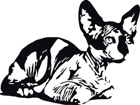 illustration sphynx cat lyingのイラスト素材