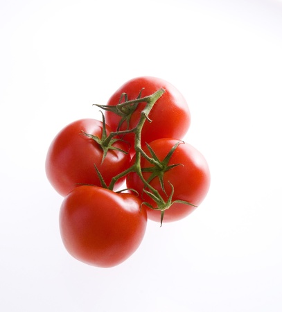 Tomatoの写真素材