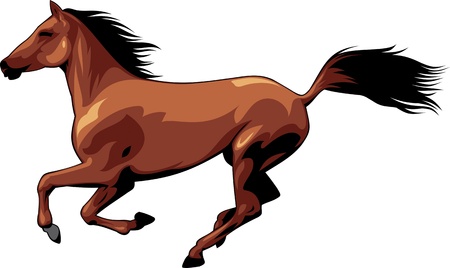 The illustration shows a beautiful horse .She runs, she flies mane and tail. Illustration isolated on white background.のイラスト素材