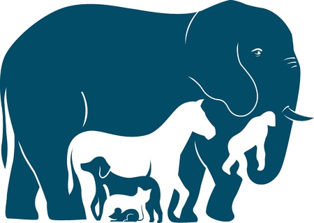  The illustration shows several mammal species as they increase in weight  Illustration done in the...