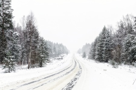Wide road on background snowy forestの写真素材